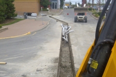 Vaughan-20110817-00078