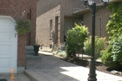 3rd-picture